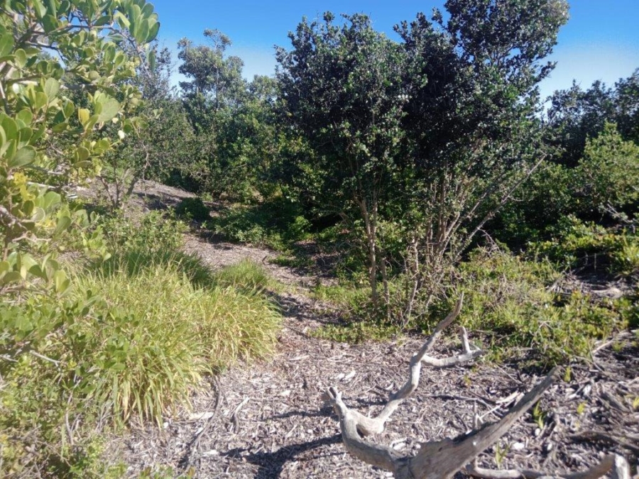 Commercial Property for Sale in Paradise Beach Eastern Cape